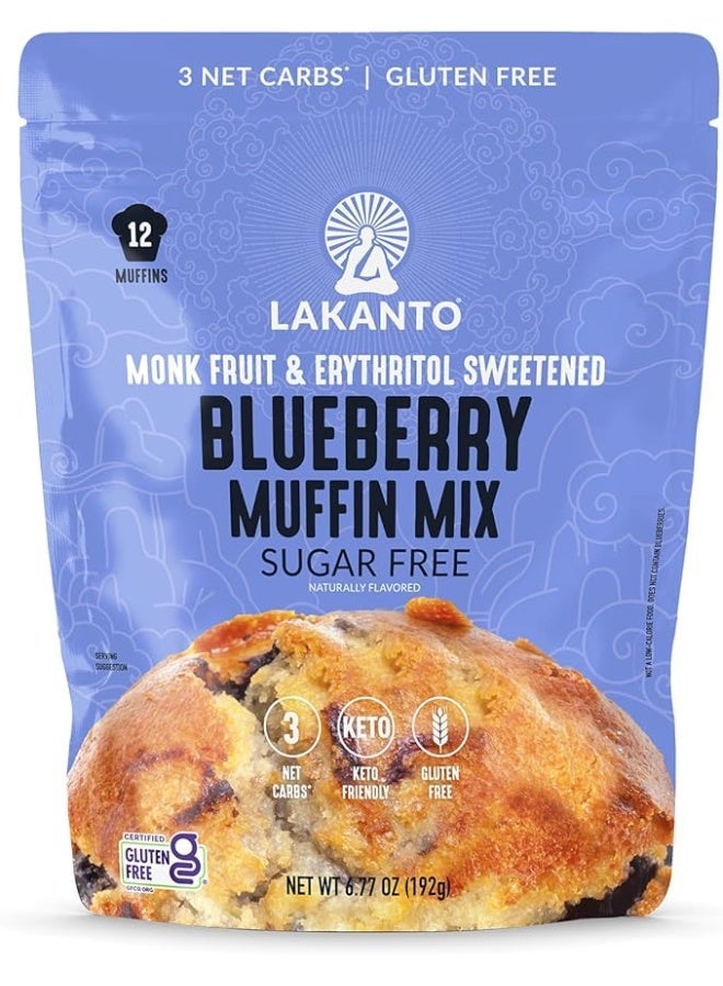 LAKANTO Lacanto, Blueberry Muffin Mix, 6.77 oz (192 g) - Image 1